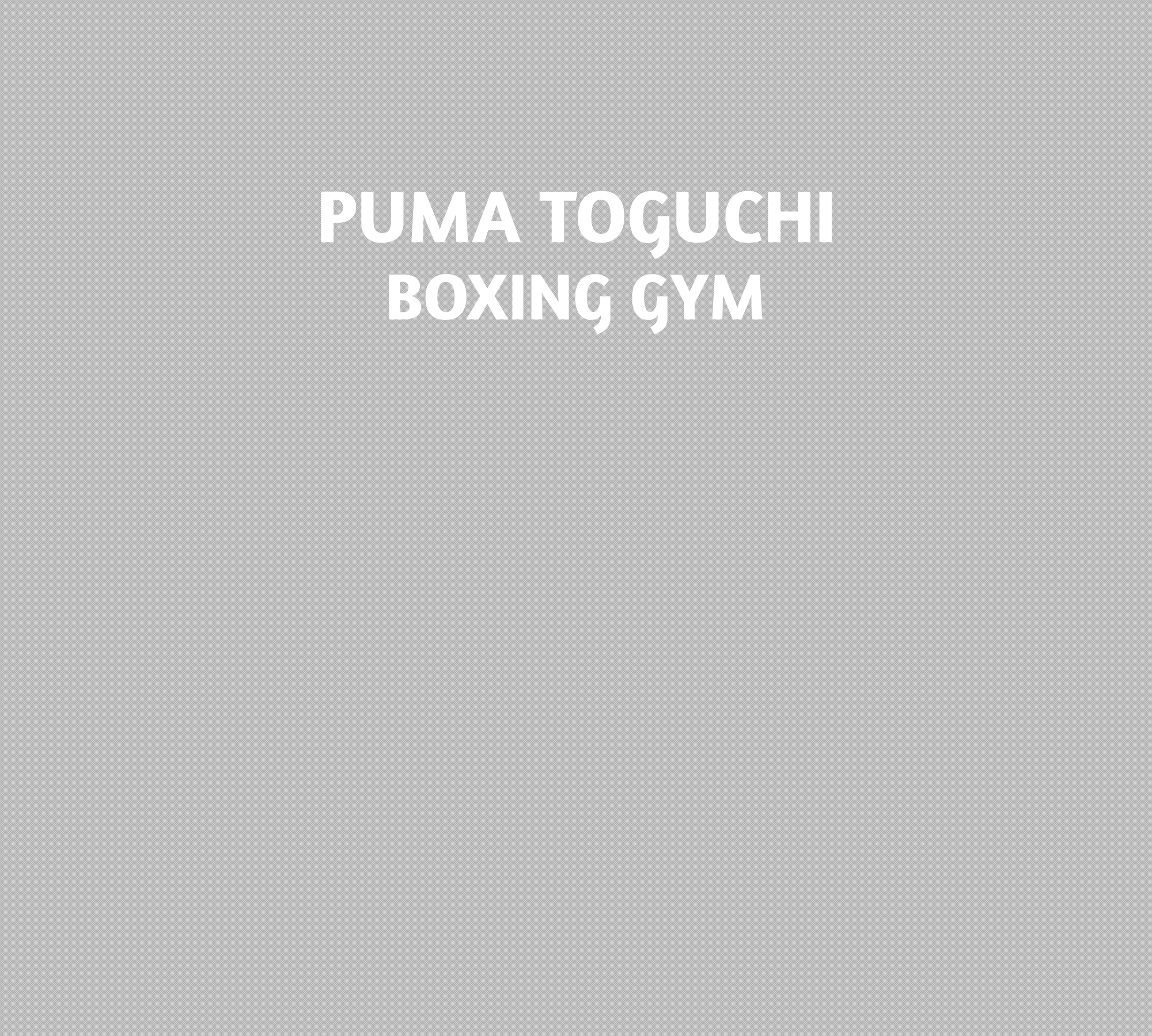 PUMA TOGUCHI BOXING GYM
